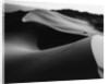 Curvy Ridge of Sand Dunes by Anonymous
