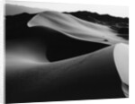 Curvy Ridge of Sand Dunes by Anonymous