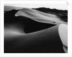 Curvy Ridge of Sand Dunes by Anonymous