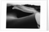 Curvy Ridge of Sand Dunes by Anonymous