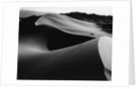 Curvy Ridge of Sand Dunes by Anonymous