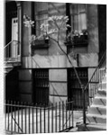 Brownstones by Brett Weston