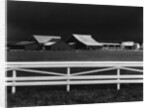 Virginia Farm, 1947 by Anonymous