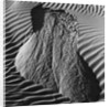 Sand Erosion by Brett Weston