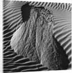 Sand Erosion by Brett Weston