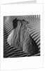 Sand Erosion by Brett Weston