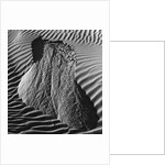 Sand Erosion by Brett Weston