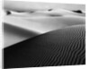 Dune Landscape by Anonymous
