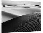 Dune Landscape by Anonymous