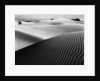 Dune Landscape by Anonymous