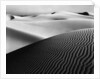 Dune Landscape by Anonymous