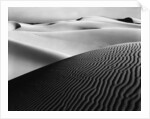 Dune Landscape by Anonymous