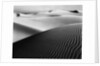 Dune Landscape by Anonymous