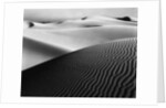 Dune Landscape by Anonymous