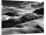 Dunes and Grasses, Oceano, 1957 by Anonymous