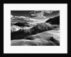 Dunes and Grasses, Oceano, 1957 by Anonymous