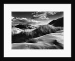 Dunes and Grasses, Oceano, 1957 by Anonymous
