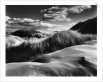 Dunes and Grasses, Oceano, 1957 by Anonymous