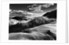Dunes and Grasses, Oceano, 1957 by Anonymous