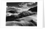 Dunes and Grasses, Oceano, 1957 by Anonymous