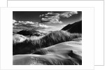 Dunes and Grasses, Oceano, 1957 by Anonymous