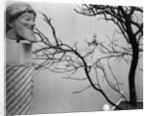 Archaic Greek Sculpture Bust and Tree, California, 1952 by Anonymous