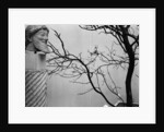 Archaic Greek Sculpture Bust and Tree, California, 1952 by Anonymous
