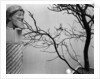 Archaic Greek Sculpture Bust and Tree, California, 1952 by Anonymous