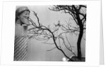 Archaic Greek Sculpture Bust and Tree, California, 1952 by Anonymous