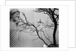 Archaic Greek Sculpture Bust and Tree, California, 1952 by Anonymous