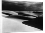 Dunes, Oceano, California, 1939 by Anonymous