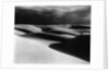 Dunes, Oceano, California, 1939 by Anonymous