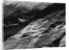 Rock Forms, Point Lobos, 1942 by Anonymous