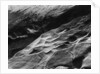 Rock Forms, Point Lobos, 1942 by Anonymous