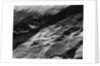 Rock Forms, Point Lobos, 1942 by Anonymous