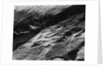 Rock Forms, Point Lobos, 1942 by Anonymous