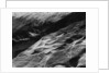 Rock Forms, Point Lobos, 1942 by Anonymous