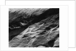 Rock Forms, Point Lobos, 1942 by Anonymous