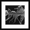 Banana Leaf, Honolulu, 1980 by Anonymous