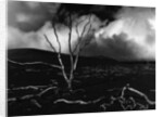 Volcano, 1980 by Anonymous