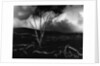 Volcano, 1980 by Anonymous