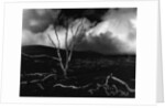 Volcano, 1980 by Anonymous