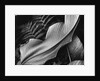 Leaf, 1979 by Anonymous