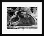 Ice, Oregon, 1971 by Anonymous