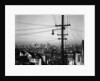 San Francisco, 1939 by Anonymous