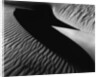Dune, Oceano, 1932 by Anonymous