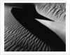 Dune, Oceano, 1932 by Anonymous