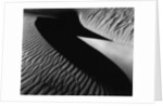Dune, Oceano, 1932 by Anonymous