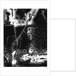 Broken Glass by Brett Weston