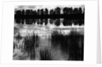 Reeds and Trees, France, 1960 by Anonymous
